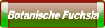 Botanische Fuchsia.