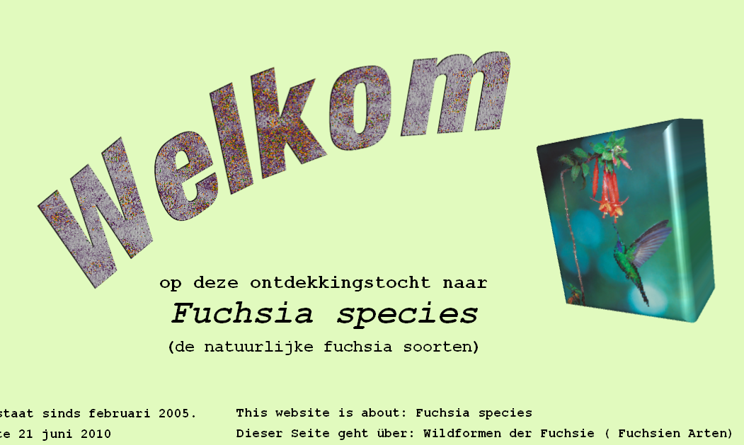 This website is about: Fuchsia species
Dieser Seite geht über: Wildformen der Fuchsie ( Fuchsien Arten)