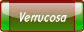 Verrucosa.