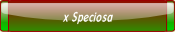 x Speciosa.