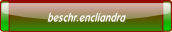 beschr.encliandra.