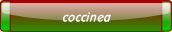 coccinea.
