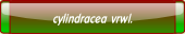 cylindracea vrwl..