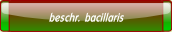 beschr. bacillaris.