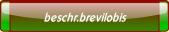 beschr.brevilobis.