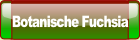 Botanische Fuchsia.