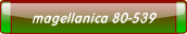 magellanica 80-539.