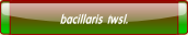 bacillaris twsl..