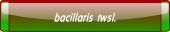 bacillaris twsl..