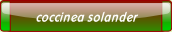 coccinea solander.