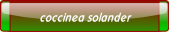 coccinea solander.