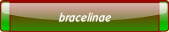 bracelinae.