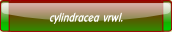 cylindracea vrwl..