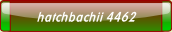 hatchbachii 4462.