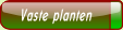 Vaste planten.