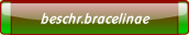 beschr.bracelinae.