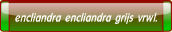 encliandra encliandra grijs vrwl..