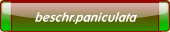beschr.paniculata.