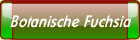 Botanische Fuchsia.